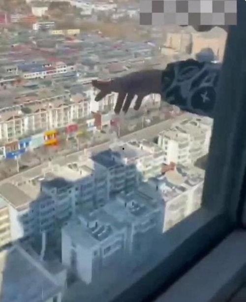 山西临汾一楼爆料视频最新,惊险瞬间引发社会关注 第1张 山西临汾一楼爆料视频最新,惊险瞬间引发社会关注 第1张