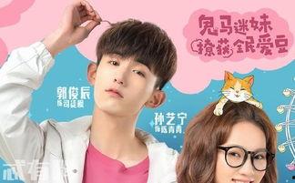 惹上冷殿下全集在线观看免费,宫廷恋曲，甜蜜来袭！  第3张